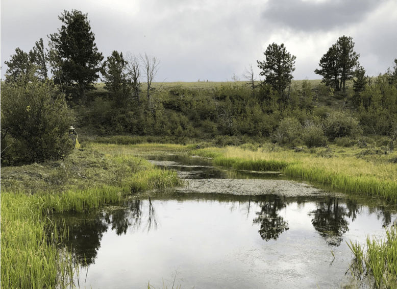 Screen Shot 2018-09-10 at 9.37.03 AM